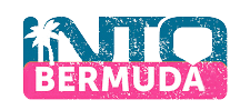 webminibuslogo